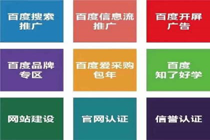 专业SEM服务托管方案案例分析
